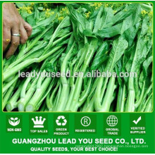 NCS01 Caixi China vagetable flowering cabbage seeds supplier